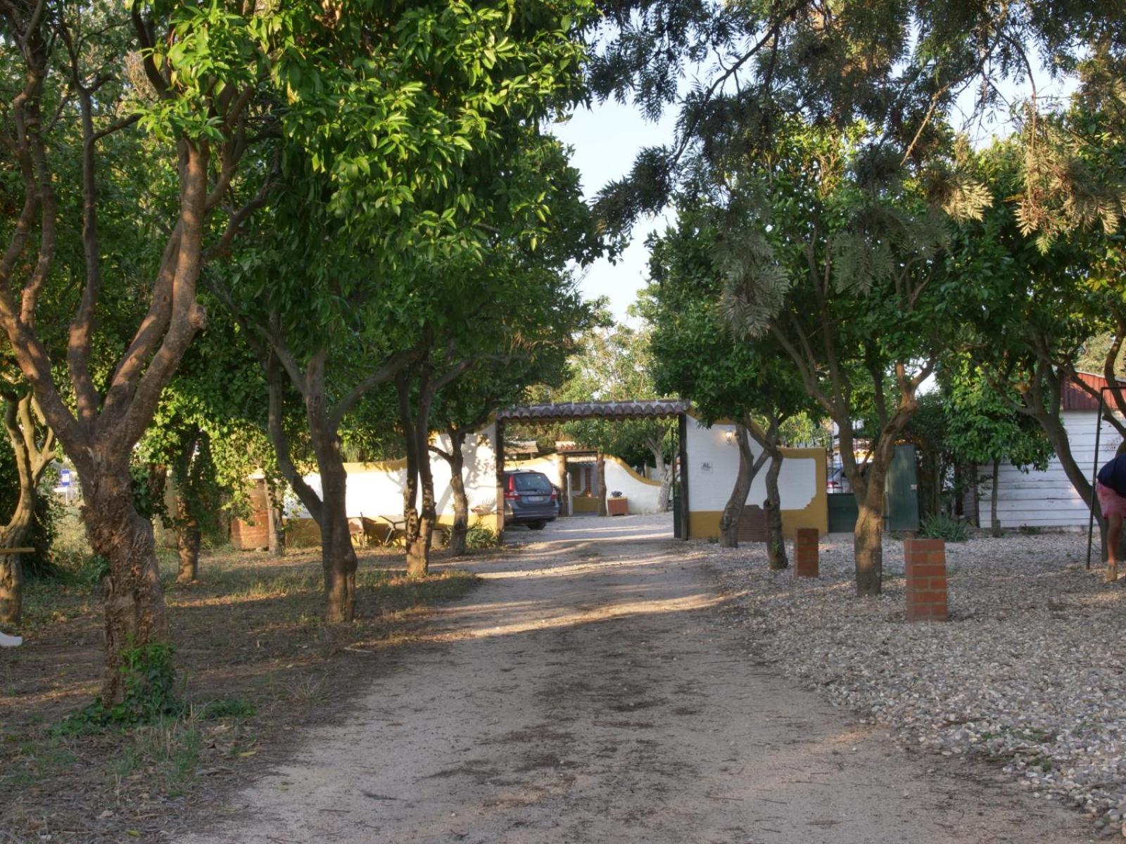 Pateo Das Laranjeiras Tomar Buitenkant foto